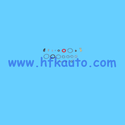 110.34101.11 Iveco Kurutuculu Hava Tahliye Ventili Tamir Takımı