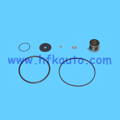 110.35112.00 Dodge, Renault, Volvo, Daf, Iveco Role Ventili Tamir Takımı